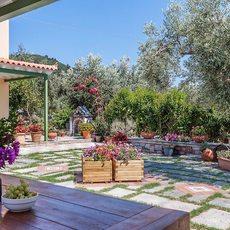 Aretousa Studios & Apartments Skopelos Zewnętrze zdjęcie